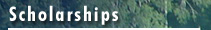 Scholarships