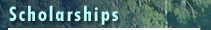 Scholarships